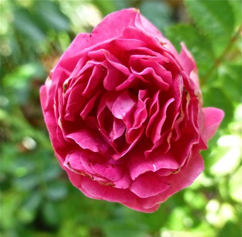  photo P1010171_zps7dd44641.jpg