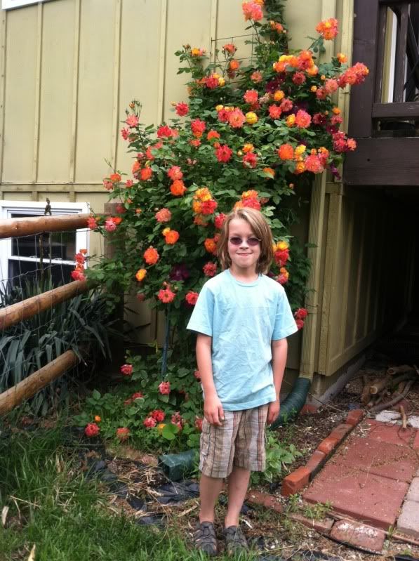  photo null_zps2c18aa64.jpg