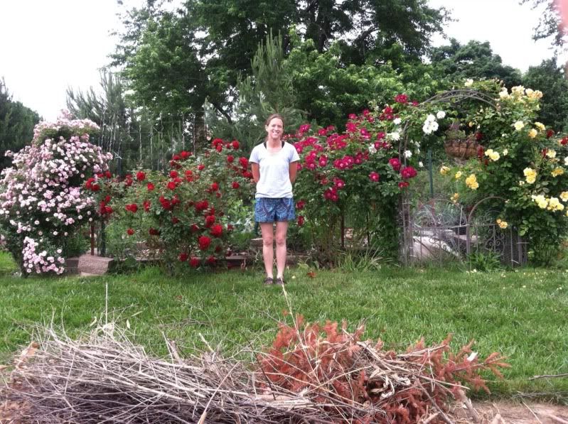  photo null_zpsd6c62715.jpg