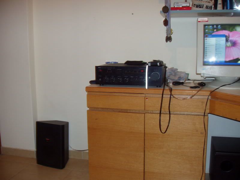 P1010138-1.jpg