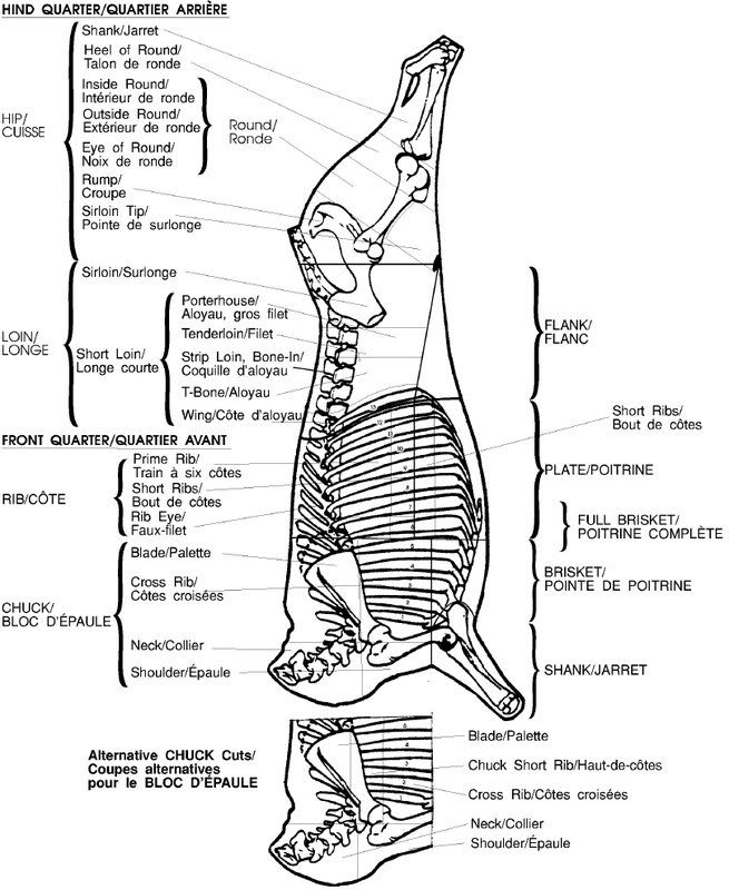 longissimus lumborum