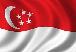  photo Flag_Singapore_zps9774bda5.jpg