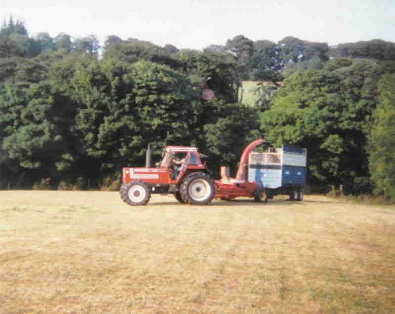 silage1.jpg