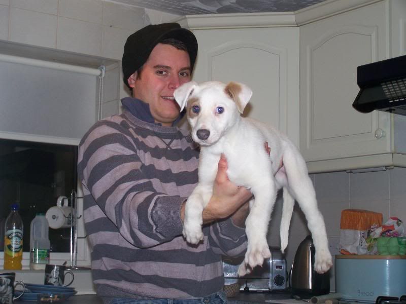 pupsgracie011.jpg