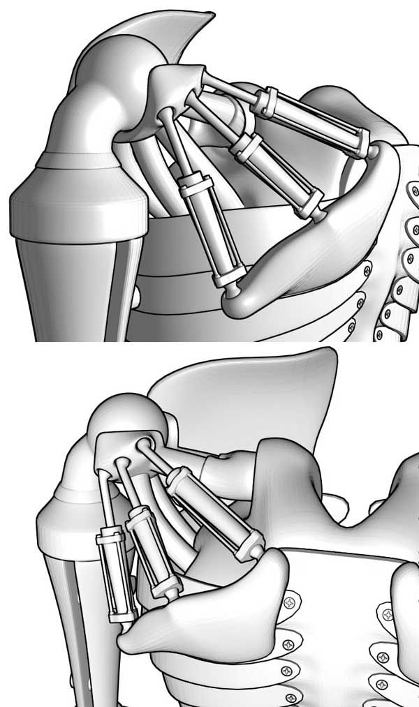 Robot Shoulder Joint