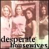 Desperate Housewives icon