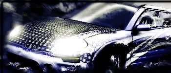 [Image: carsig2copy.jpg]