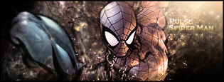 [Image: spidermansig3412copy.png]