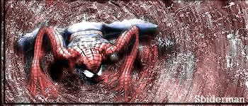 [Image: spidermansig3copy.jpg]