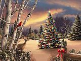 Tree4.jpg image by gavin0912