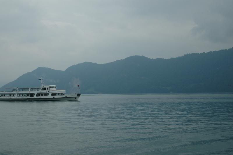 [Image: Swisstrip2010041.jpg]