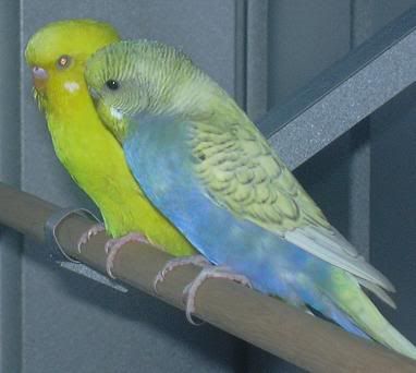 Sunnyandbaby.jpg