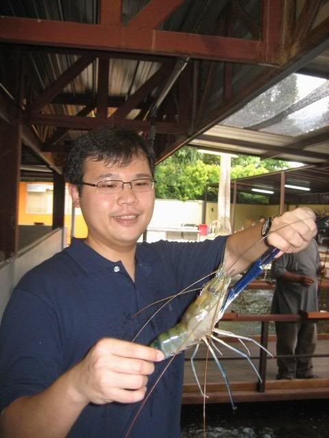 Big prawn caught by some forumite