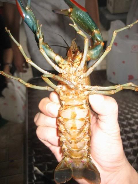 wow crayfish?!