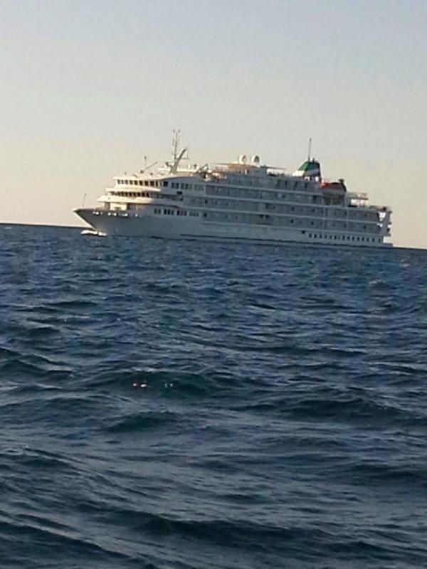 CruiseShip.jpg