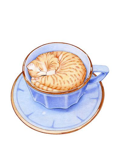 2242784-2-cat-in-coffee.jpg