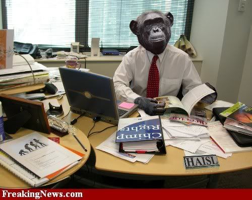 professor-chimp-1.jpg