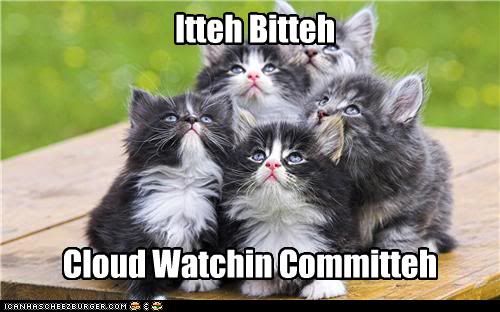 funny-pictures-kittens-watch-clouds.jpg