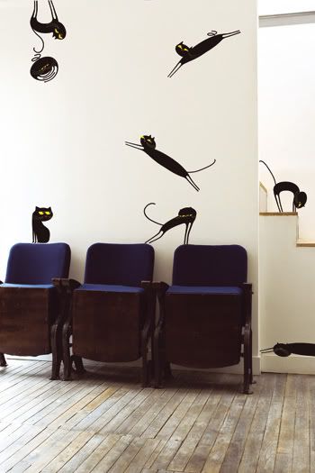gatosna&acute;parede