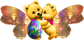 bears.gif easter bears image by bitchcrafts