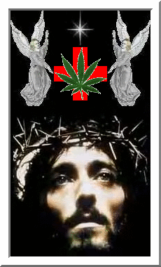 thorns.gif jesus thorns image by bitchcrafts