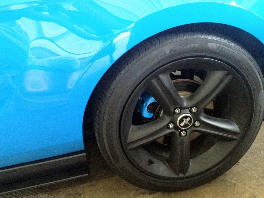 Ordered Some Grabber Blue Caliper Paint S197 Mustang Forum