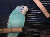 th_IMG_0139.jpg