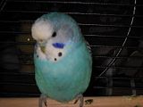 th_IMG_0158.jpg