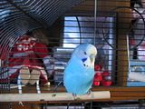 th_IMG_0203.jpg