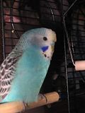 th_IMG_0213.jpg