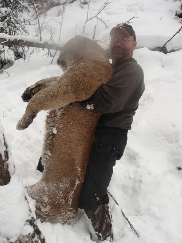 Mountain Lion Hunting With a Bow - The Great Outdoors