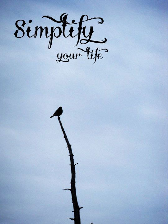 Simplify Your Life ~ Simplify Your Products My Healthy Home #shop