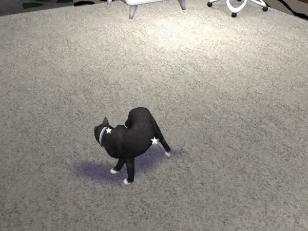 snapshot_9241ce3f_32472092.jpg