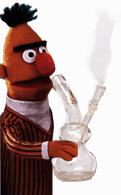 bert