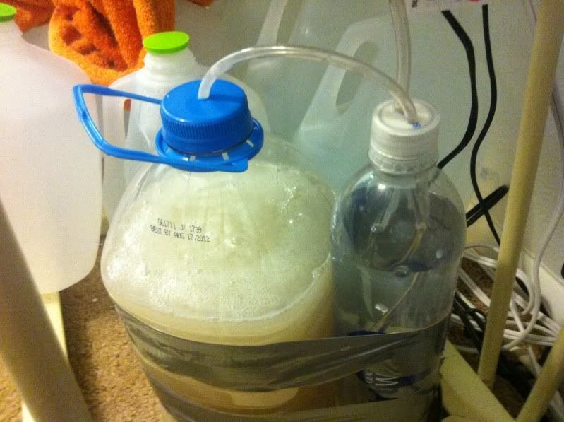 Every morning DIY CO2 system fails to make CO2... WHY???? Aquarium Forum