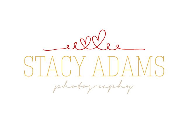 Stacy Adams Logo