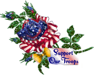 Support our troops