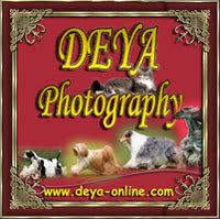 deyabanner.jpg picture by deyaint