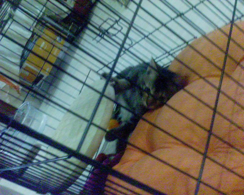 Photobucket - Video and Image Hosting