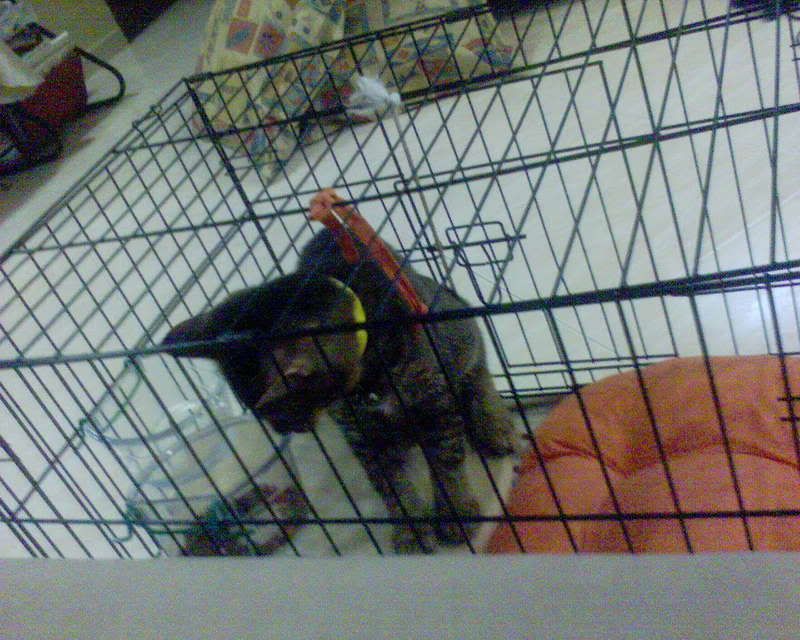 Photobucket - Video and Image Hosting