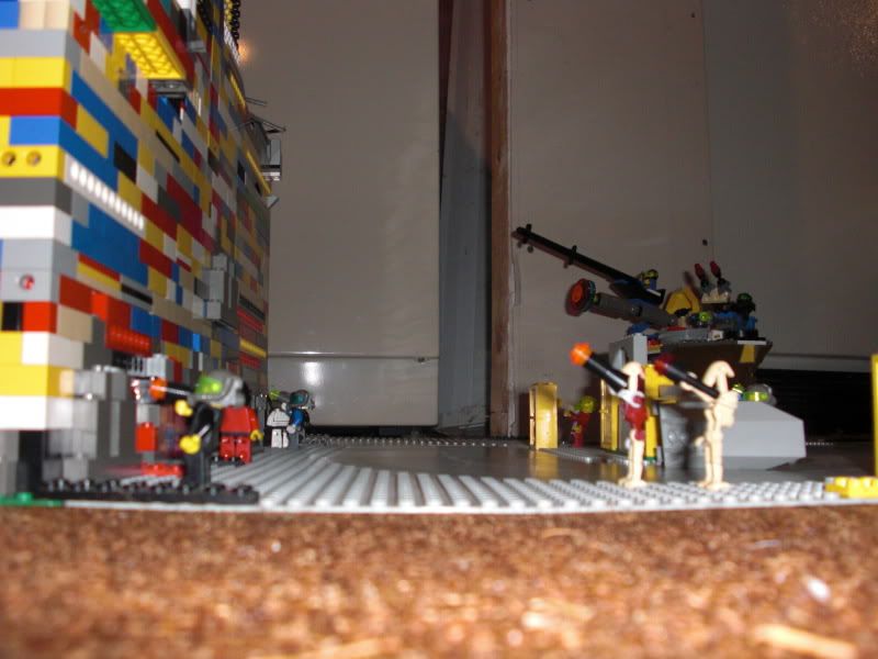 CIMG0035.jpg