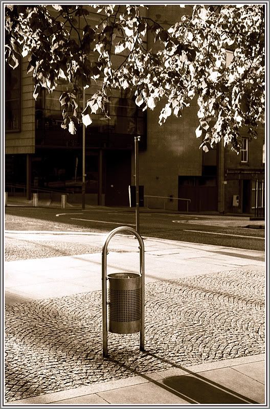 TheBin2.jpg