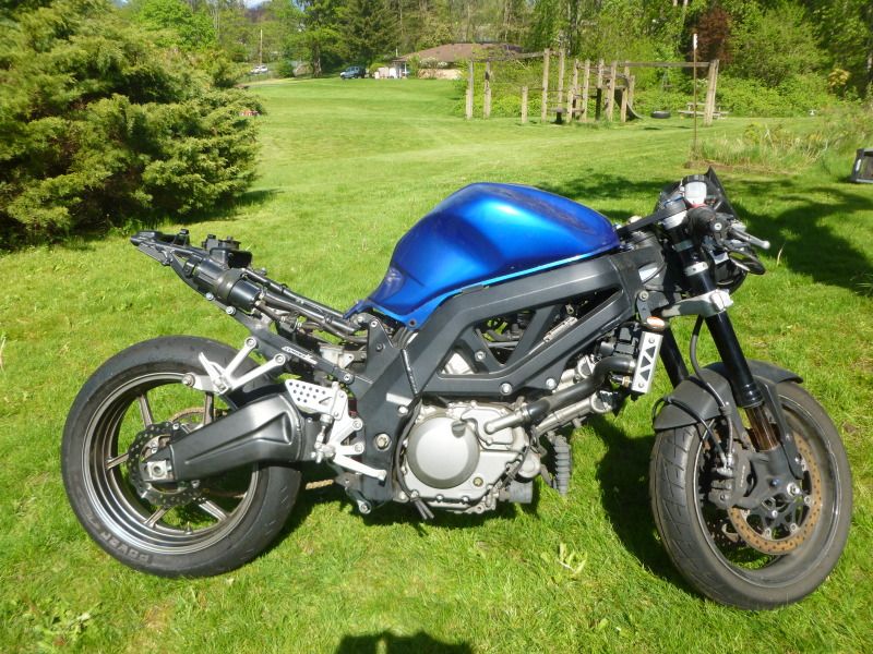 http://i92.photobucket.com/albums/l29/LSCYCLING/ZX%20Swingarm/P1010336.jpg