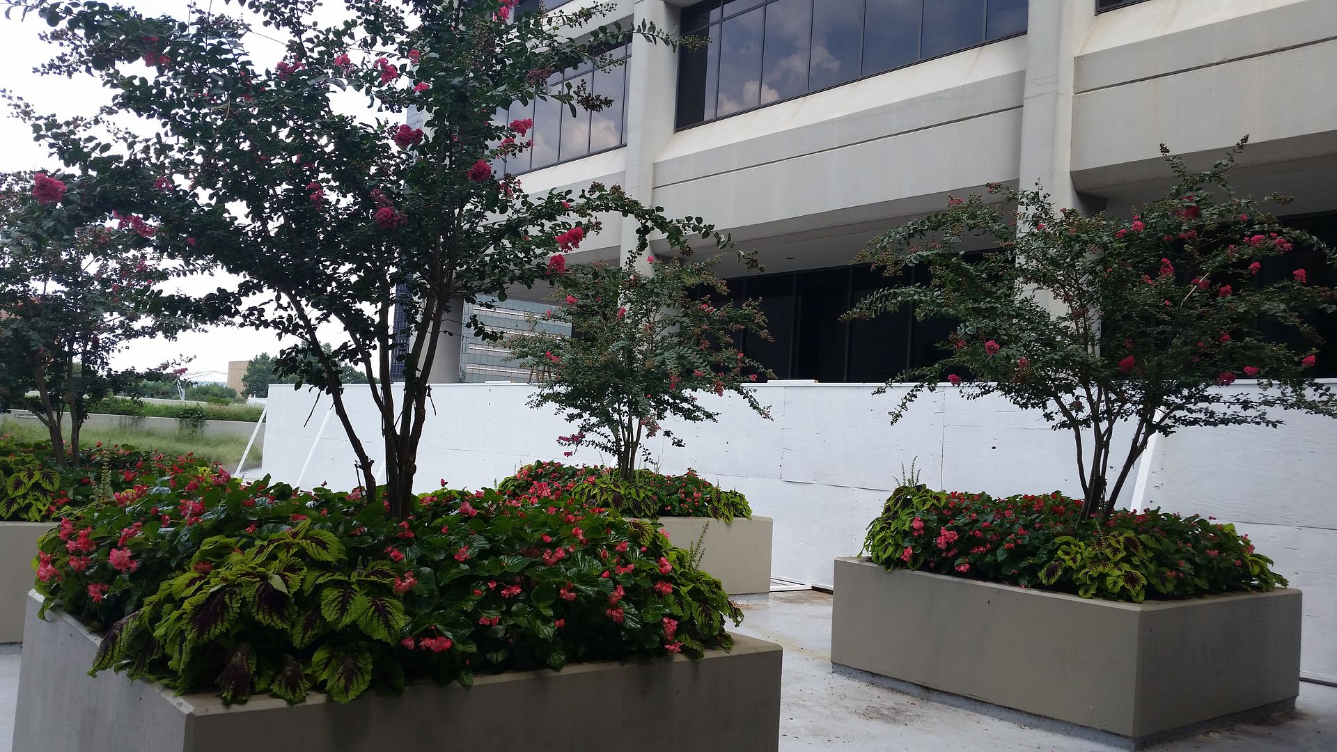 20140816_144922.jpg