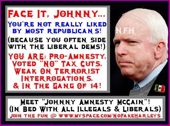 LIB-DEM_JohnnyAmnestyMcCain-NFH.jpg