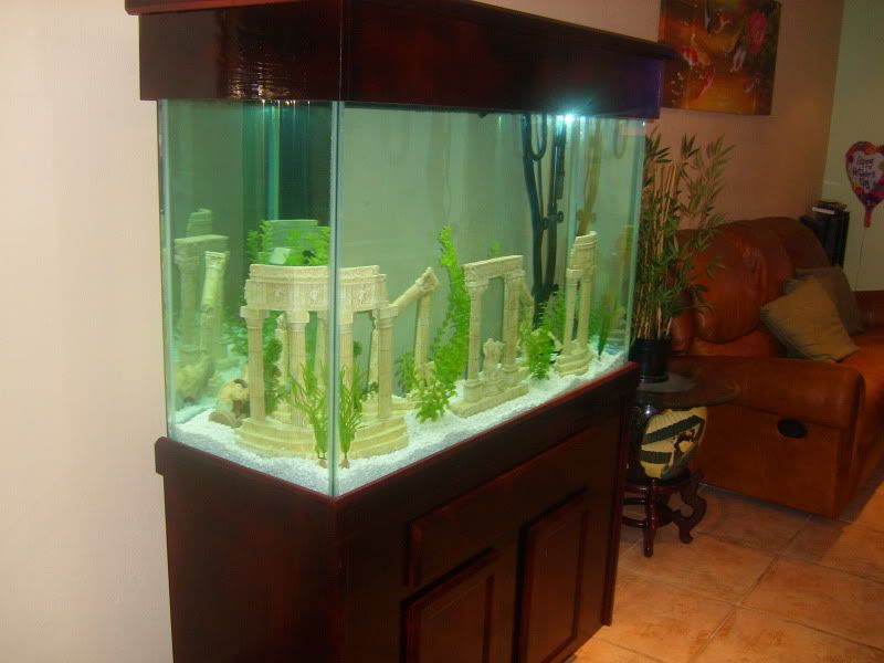 FISHTANK2.jpg