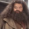 Professor Rubeus Hagrid Avatar