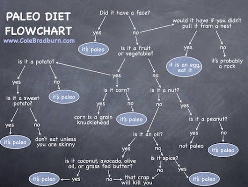 paleo_diet_flowchart-500x377_zps8543da06.jpg