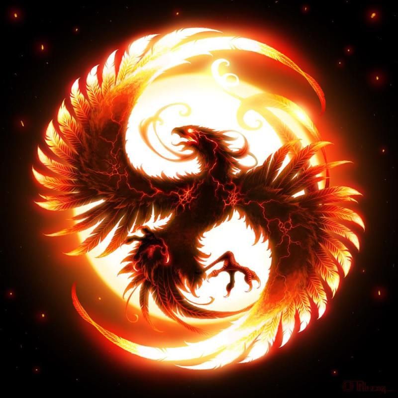 sun phoenix tattoo