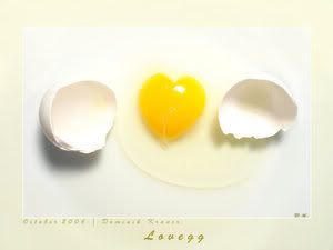 z56240918.jpg